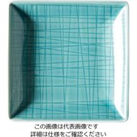 ローゼンタール RT メッシュ スクエアプレート10cm 15288 1枚 62-6827-55（直送品）