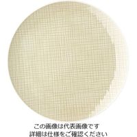 ローゼンタール RT メッシュ ラウンドプレート24cmフラット 10864 1枚 62-6827-57（直送品）