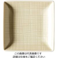 ローゼンタール RT メッシュ スクエアプレート10cm 15288 1枚 62-6827-62（直送品）