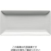 ローゼンタール RT メッシュ レクタングルプレート20cm 15287 1枚 62-6827-82（直送品）