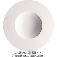 ローゼンタール RT エポック グルメプレート27cm 31327 1枚 62-6828-35（直送品）