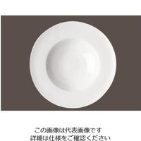 ローゼンタール RT ジェイド リムスーププレート 23cm 10640-31223 1個 62-6828-65（直送品）