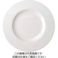 ミヤザキ食器 エコス プレート 24cm CV2401 1枚 62-6831-79（直送品）