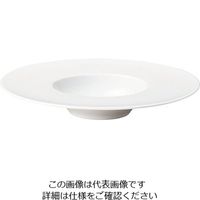 ミヤザキ食器 エコス グルメプレート 25cm CV2512 1枚 62-6831-83（直送品）