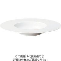 ミヤザキ食器 エコス グルメプレート 29cm CV2912 1枚 62-6831-85（直送品）