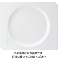 ミヤザキ食器 マグネシア マニカ スクエアリムプレート 29cm MG2911 1枚 62-6832-19（直送品）