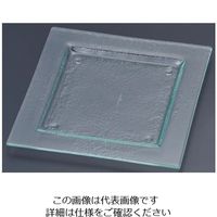 遠藤商事 タイガーグラス スクエアプレート 240 クリア 162-192-00 1枚 62-6835-59（直送品）