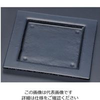 遠藤商事 タイガーグラス スクエアプレート 240 グレー 162-192-00 1枚 62-6835-60（直送品）