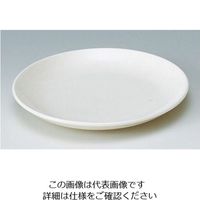 山加商店 カジュアルウェア 浅プレート 16.5cm YB360-1 1枚 62-6833-03（直送品）