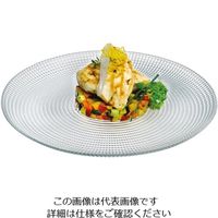 ジェネレーション ディナープレート PS10479 1枚 62-6834-98（直送品）