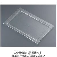遠藤商事 タイガーグラス レクタンギュラープレート 061ー192ー11 クリア 62-6835-71 1枚（直送品）