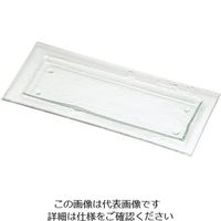 遠藤商事 タイガーグラス レクタンギュラープレート 162ー192ー08 クリア 62-6835-75 1枚（直送品）