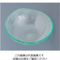 遠藤商事 タイガーグラス ラウンドボウル 255 クリア 022-032-00 1個 62-6835-93（直送品）
