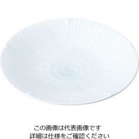 ミヤザキ食器 京千段 丸皿 22cm MJ118-313 1枚 62-6840-59（直送品）