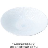 ミヤザキ食器 京千段 盛皿 22cm MJ118-318 1枚 62-6840-61（直送品）