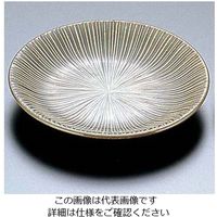 エムズジャパン 千段・織部 4.0皿 T03-91 1枚 62-6841-12（直送品）