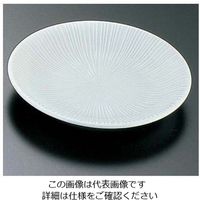 エムズジャパン 千段・青磁 4.0皿 T03-93 1枚 62-6841-14（直送品）