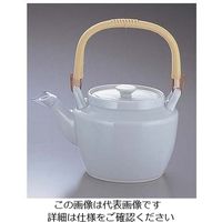 エムズジャパン 青磁角土瓶 大 D00ー04 62-6844-82 1個（直送品）