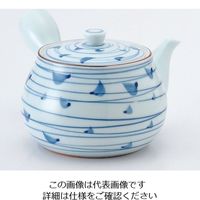 エムズジャパン 木の葉渦 急須 D05-27 1個 62-6844-95（直送品）