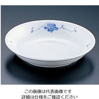 遠藤商事 九セラ フラックスシリーズ 深菜皿 16cm 62-6857-31 1枚（直送品）
