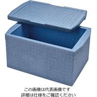 ダイキョウ デリバリー用保温・保冷コンテナー RH-60 1個 62-8183-61（直送品）