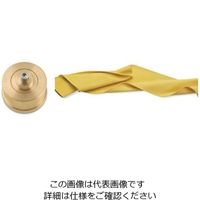 アズワン シェフインカーザ用ダイス パスタシート 100mm 63-1252-03 1個（直送品）