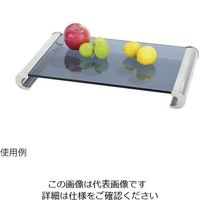 遠藤商事 KINGO グラスディスプレイプレート S 63-1260-66 1個（直送品）