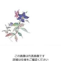 マイン 耐油懐敷 15角 ききょう 1000枚入 C33ー003 295245 1枚(1000枚) 63-1768-06（直送品）