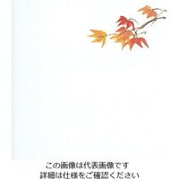 マイン 耐油懐敷 15角 もみじ 1000枚入 C33ー004 295251 1枚(1000枚) 63-1768-09（直送品）