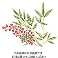 マイン 耐油懐敷 15角 南天 1000枚入 C33ー009 295215 1枚(1000枚) 63-1768-21（直送品）