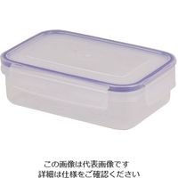 パール金属 キープロック 鮮度を保つ保存容器長方形 670mL HB-588 1個 63-2766-31（直送品）