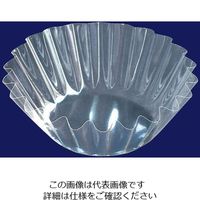 尚美堂 フジフィルムケース5F 透明 420600 1箱(5000枚) 63-5594-78（直送品）