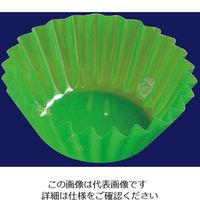 尚美堂 フジフィルムケース6F グリーン 420700 1箱(5000枚) 63-5594-79（直送品）