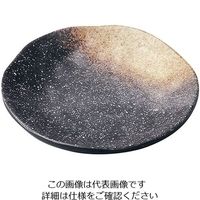 遠藤商事 メラミン 耐熱焼物丸皿 黒備前 63-5716-25 1個（直送品）