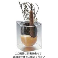 アズワン テイスティング ミニグラス 40mL（144入）MTG40 1個（144個） 63-7158-28（直送品）