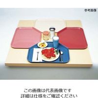 Cambro キャンブロ トラペゾイドカムトレー 1121TR