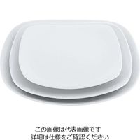 江部松商事（EBEMATSU） 磁器 中華・洋食兼用食器 白撫角皿