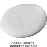 遠藤商事 セラミン耐熱パラディサークルプレート シャイニーホワイト 64-4205-44 1個（直送品）