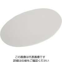 カーライルフードサービスプロダクツ リッジ・ディナーウェア リムレスプレート セメント 53104 1個 64-4205-16（直送品）