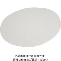 カーライルフードサービスプロダクツ リッジ・ディナーウェア リムレスプレート セメント 53105 1個 64-4205-20（直送品）