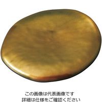 遠藤商事 セラミン耐熱パラディサークルプレート スパークゴールド 64-4205-49 1個（直送品）