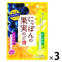 【アウトレット】ライオン菓子 にっぽんの果実のど飴＜ナガノパープルとシャインマスカット＞1セット（72g×3袋）