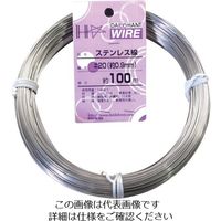 ダイドーハント ステンレス線 #20X100m 10155319 1巻 134-8154（直送品）