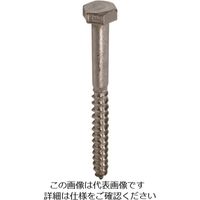 ダイドーハント ステンレス コーチスクリュー 10x75(17頭)(1本) 10102878 1本 223-9680（直送品）
