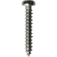 ダイドーハント DAIDОHANT HP ステンレス タッピング 鍋 6×70 2本入 10185556 1セット(10本:2本×5パック)（直送品）