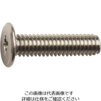 ダイドーハント HP ステンレス超低頭小ネジ