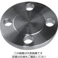 イノック ブラインドフランジ BDRF 15A 304BDRF150LB15A 1枚 806-4274（直送品）