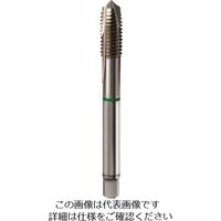 グーリング ユニファイ細目ねじ用タップ レギュラ 3/4-16 UNF 4455 19.050 182-8264（直送品）