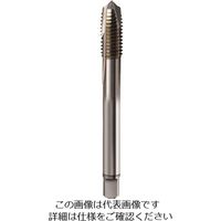 グーリング 高能率用メートル細目ねじ用タップ レギュラ M10×1.25 4469 10.006 181-7353（直送品）