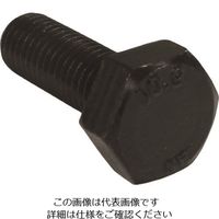 コノエ 強度区分10.9 六角ボルト 全ねじ M20x120 (15本入) BT-109-F-20120 1箱(15本) 216-7291（直送品）